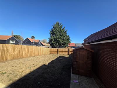 Picture 16